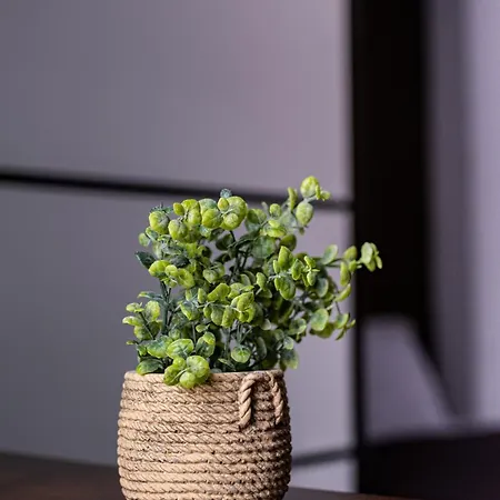 Deluxe With 2 Bedroom In Center Apartament Varna