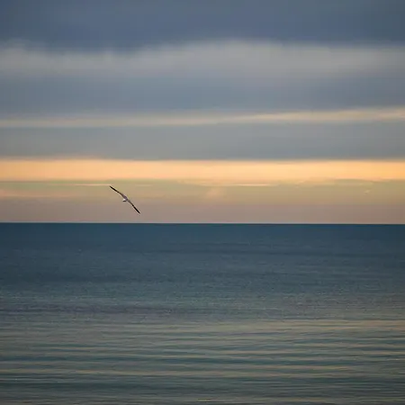 Deluxe With 2 Bedroom In Center Apartment Varna