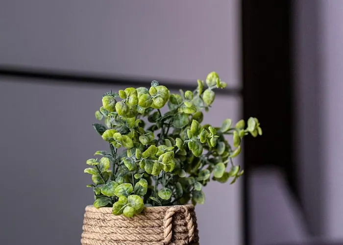 Deluxe With 2 Bedroom In Center Apartment Varna